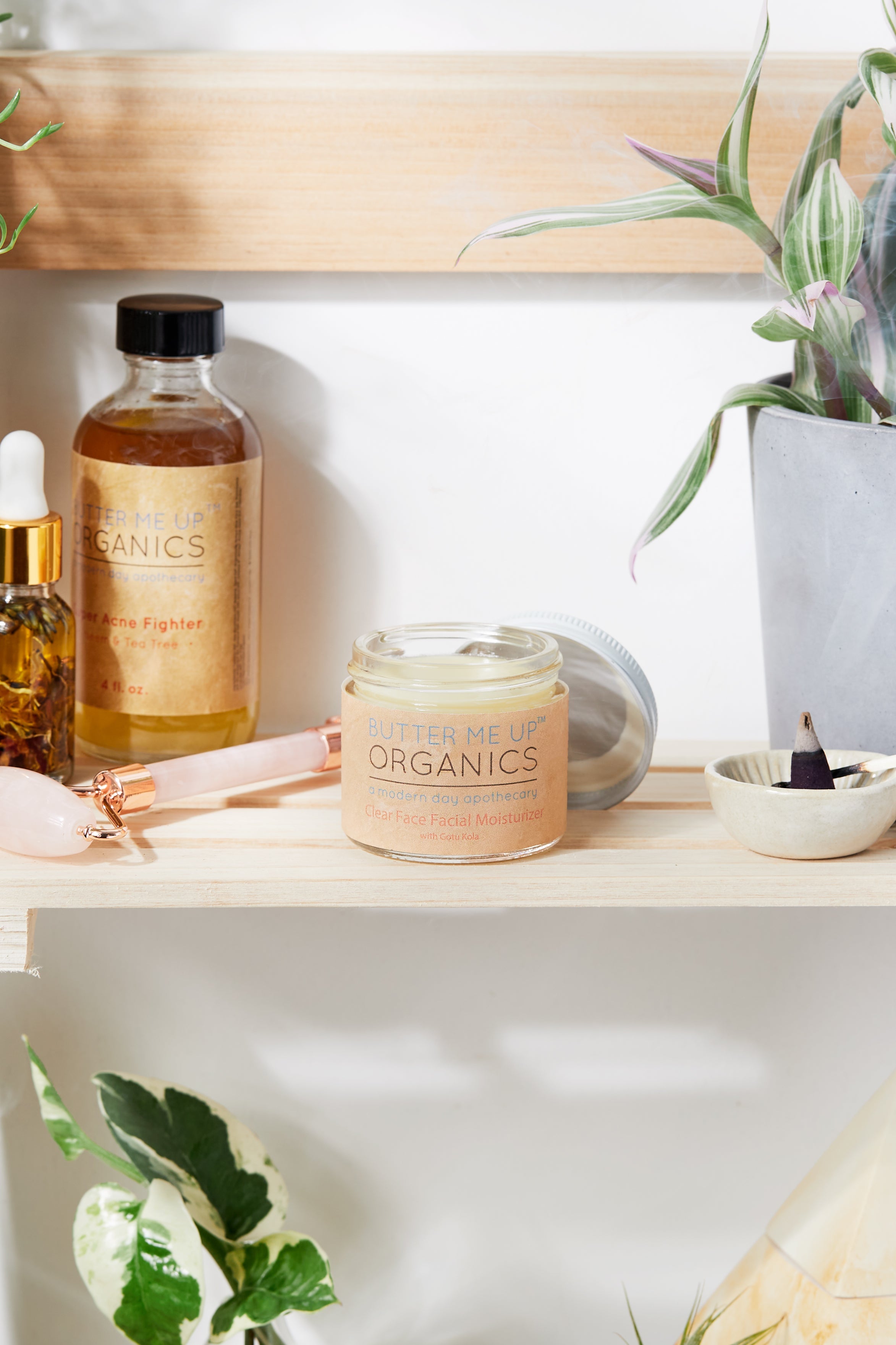 Green Tea Anti-Aging Night Cream