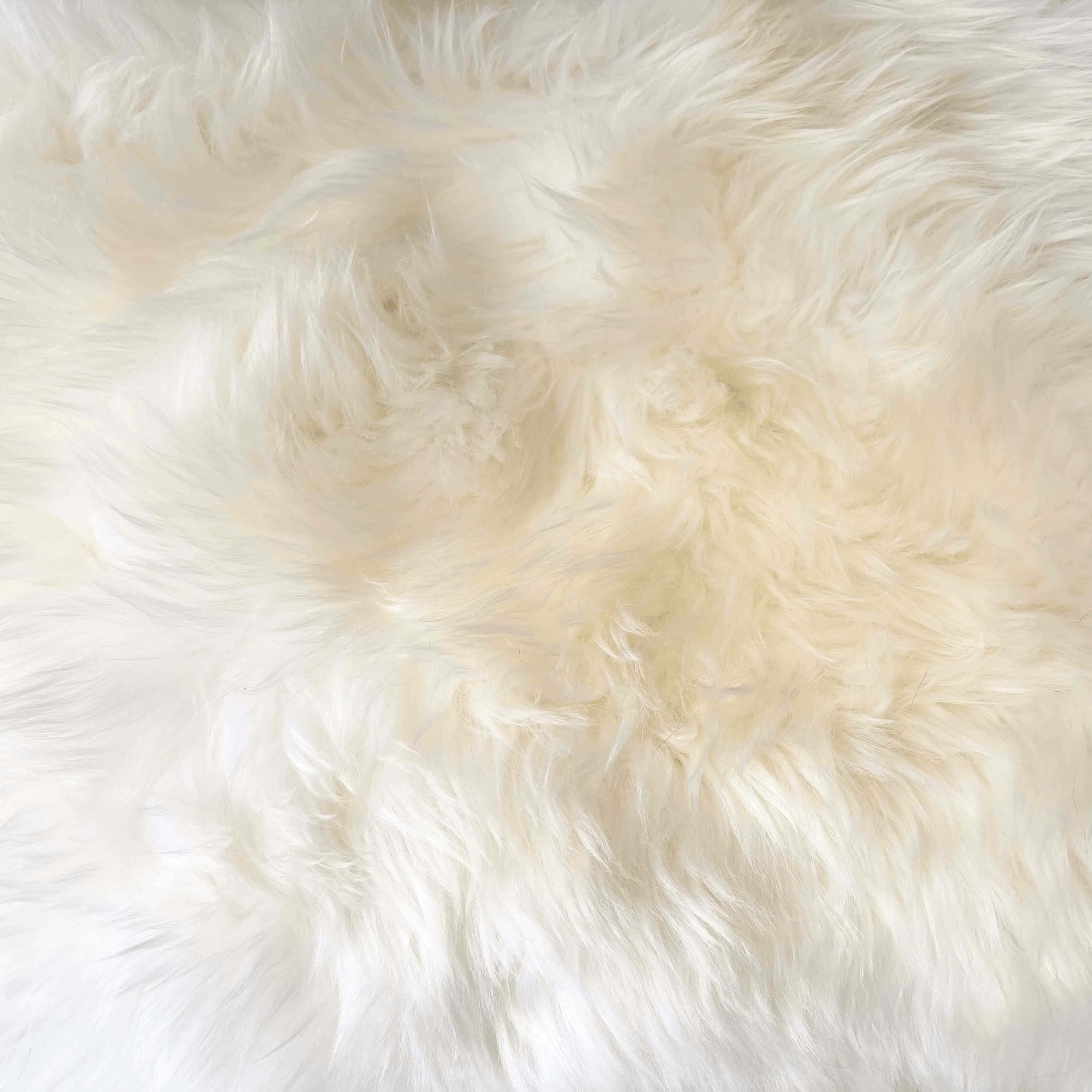LUNA Ivory Loaf Blanket