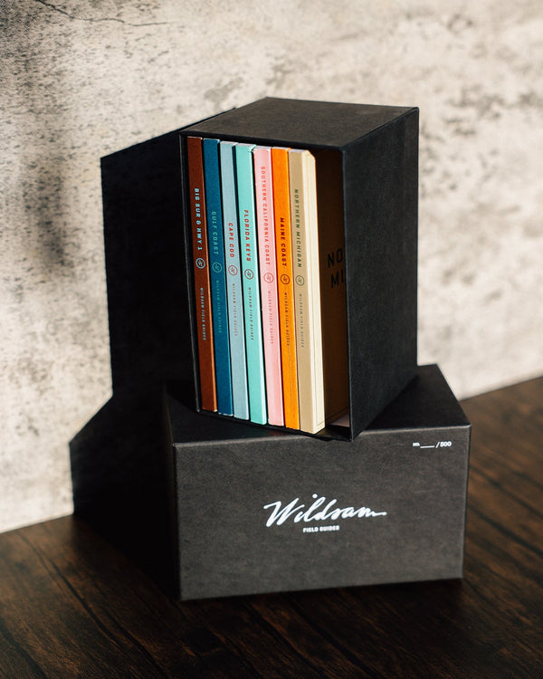 The Coasts Collection - My American Goods