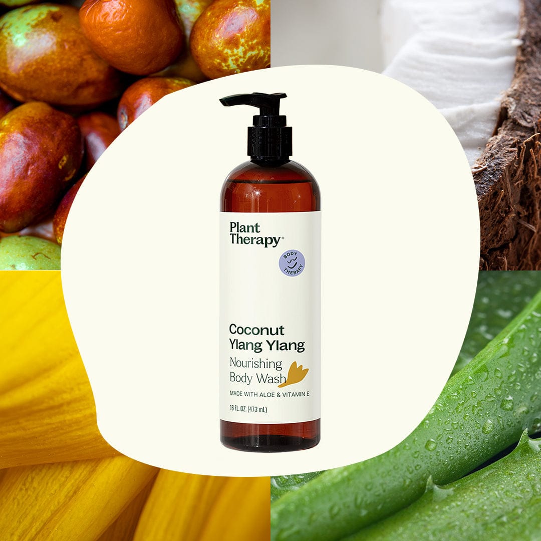 Plant Therapy Body Care 16 oz Coconut Ylang Ylang Body Wash