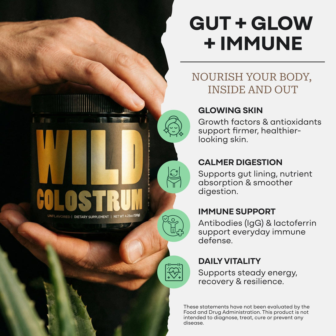 Wild Foods Protein Colostrum – Gut Health &amp; Immunity Boost