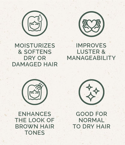 Shampoo Bar: Cafe Moreno