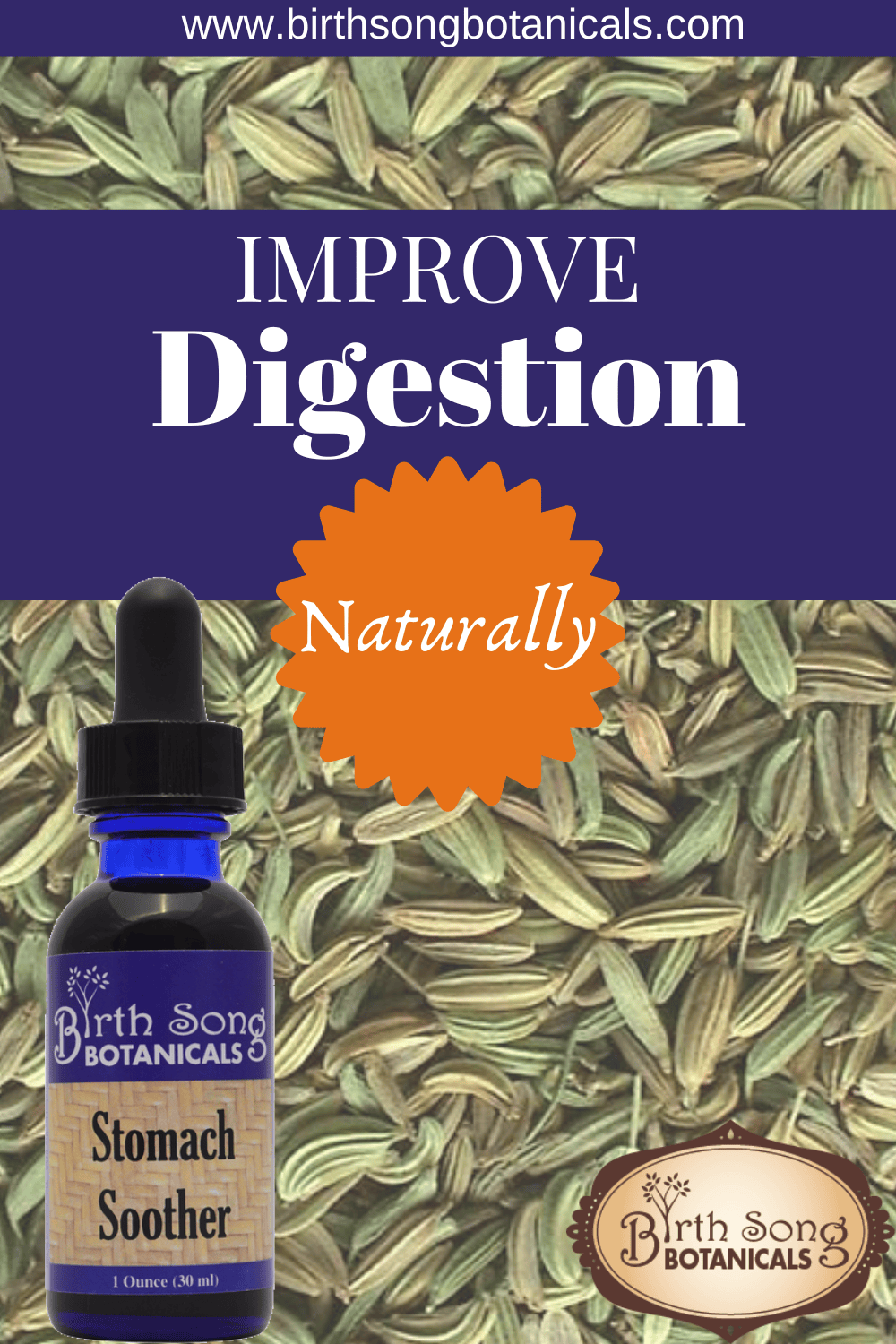Birth Song Botanicals Co. Tinctures Stomach Soother Herbal Tincture – Botanical Digestive Blend (1 oz)
