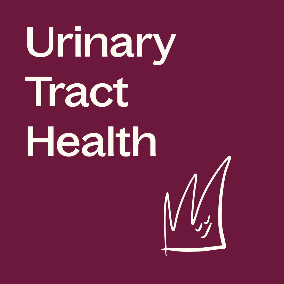 Cranberry with Vitamin C – Plant-Based Capsules - My American Goods