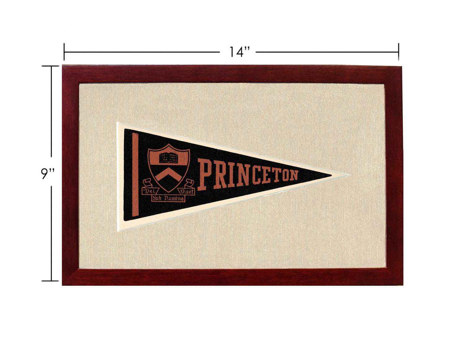 Vintage Princeton Pennant