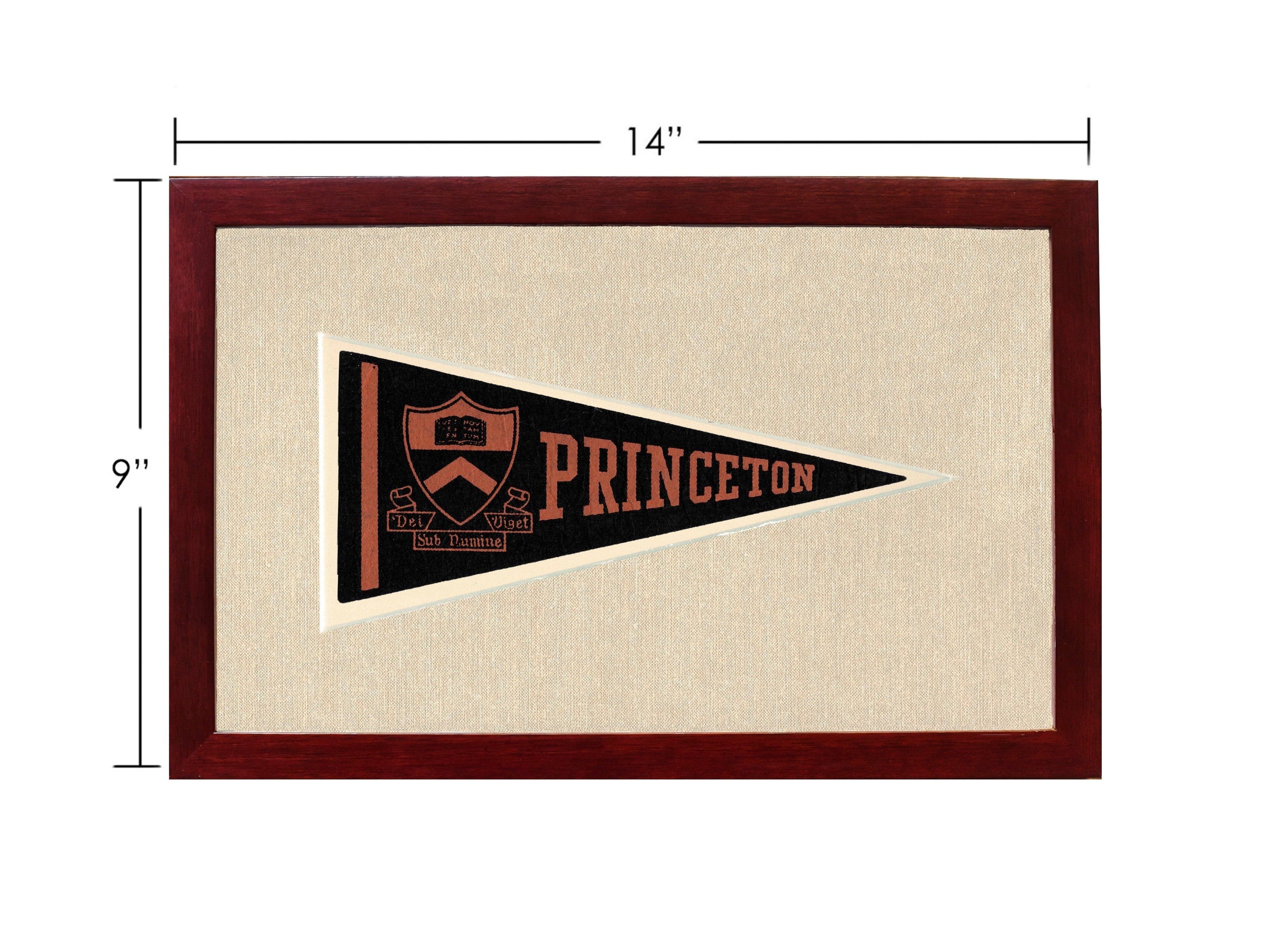 Americana Memories Vintage Pennants and Memorabilia Vintage Princeton Pennant