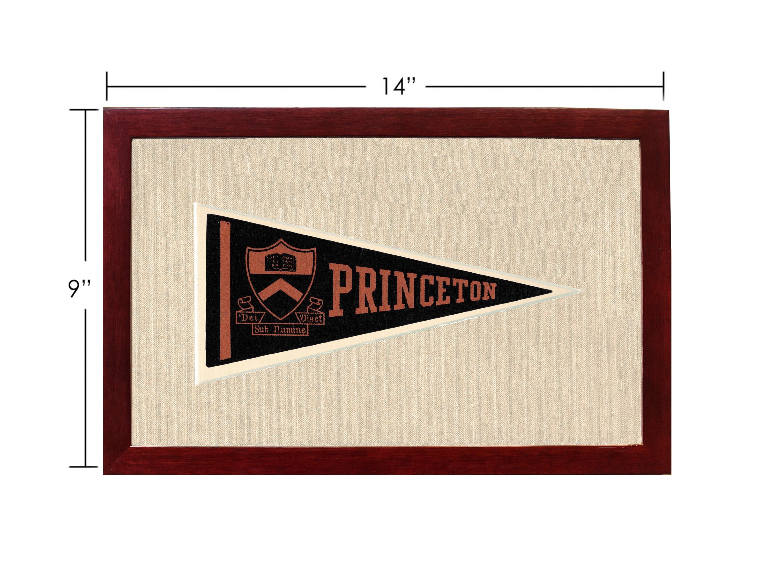 Vintage Princeton Pennant