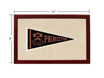 Vintage Princeton Pennant