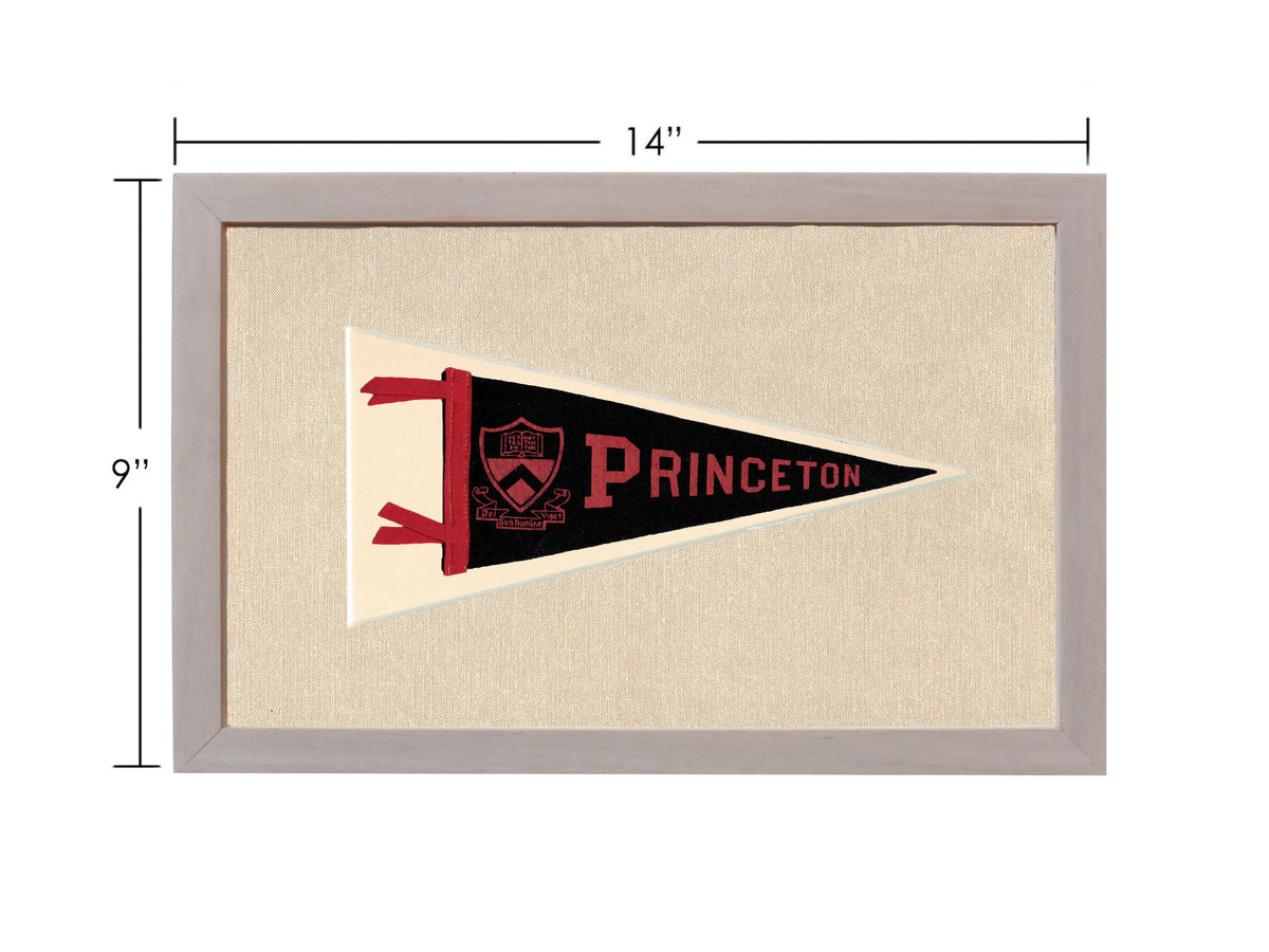 Vintage Princeton Pennant
