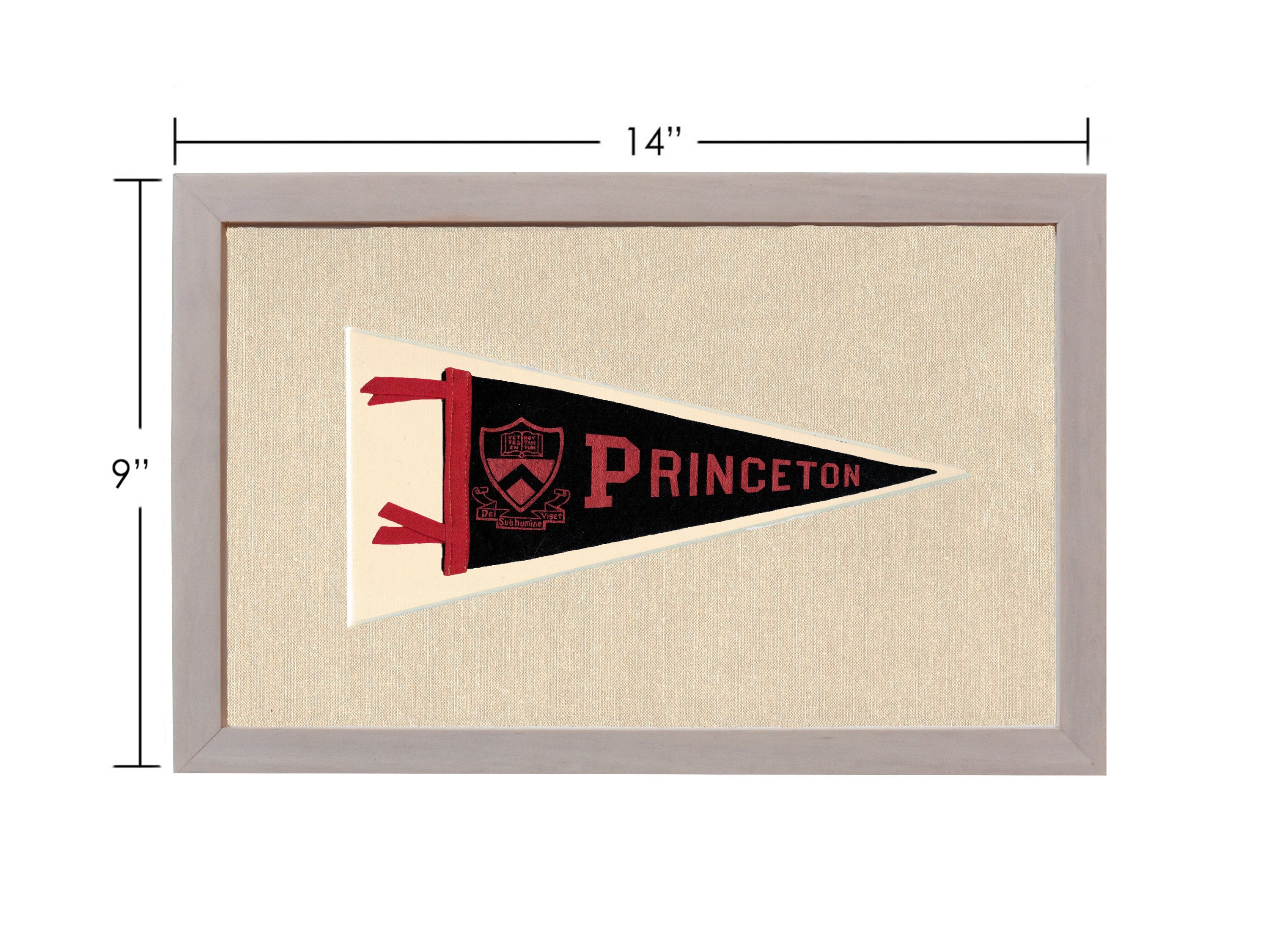 Vintage Princeton Pennant
