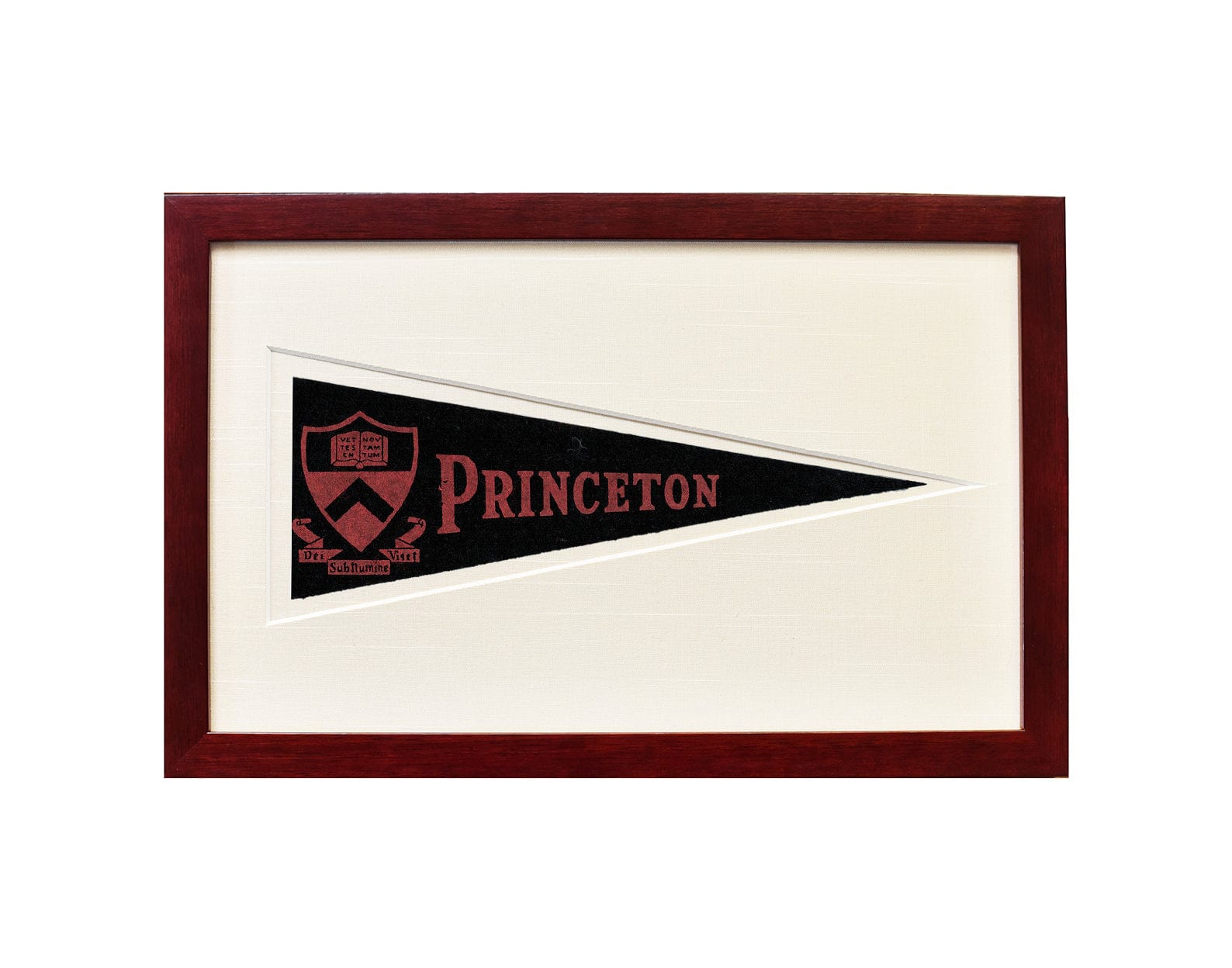 Americana Memories Vintage Princeton University Hormel Pennant