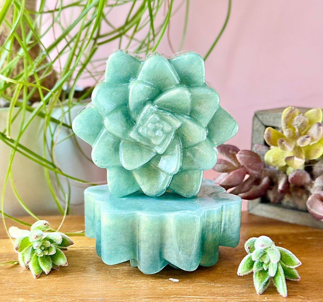 🌿 Evergreen Succulent – Vetiver &amp; Bergamot - My American Goods
