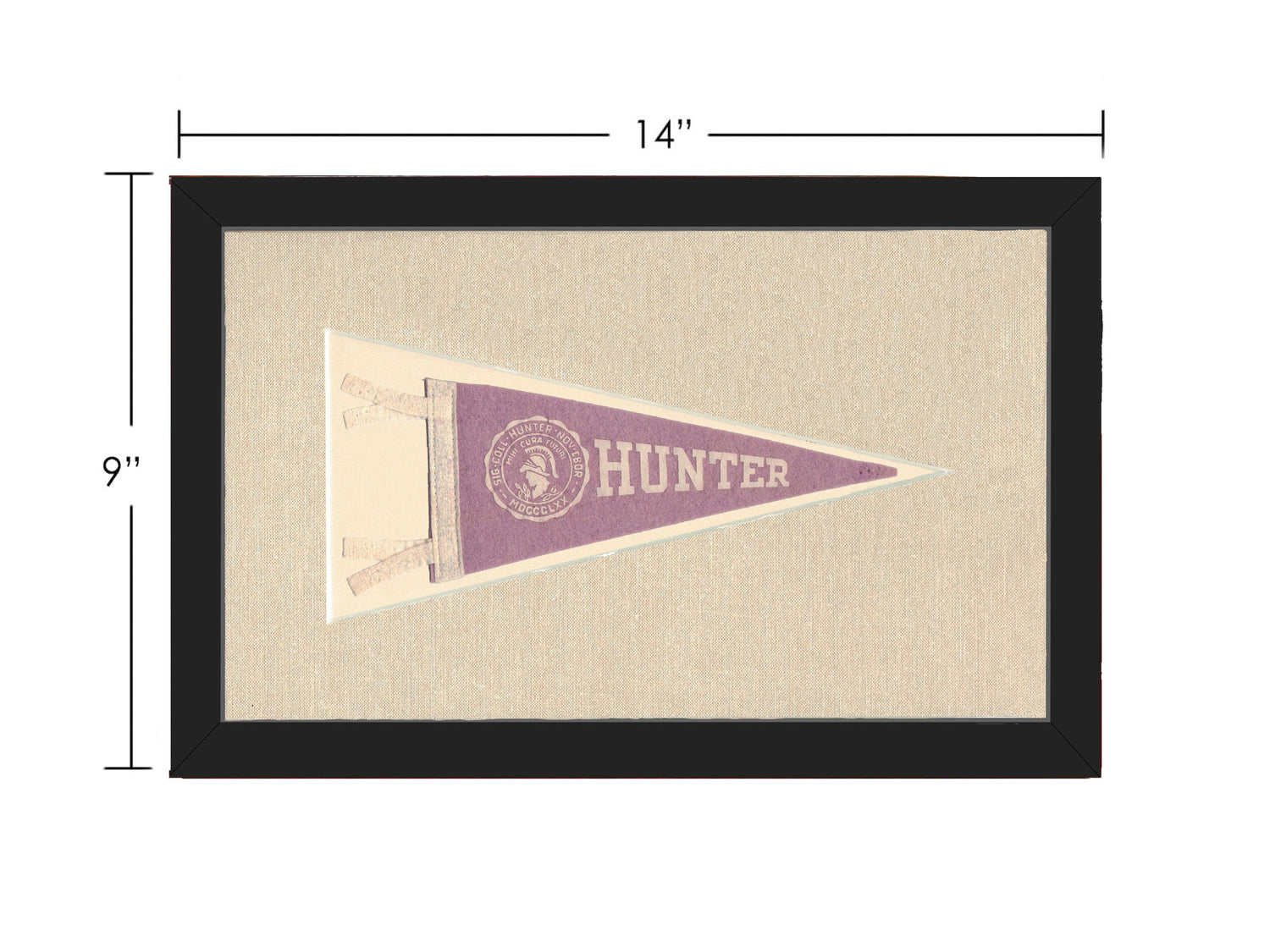 Americana Memories Vintage Pennants and Memorabilia Vintage Hunter College Pennant