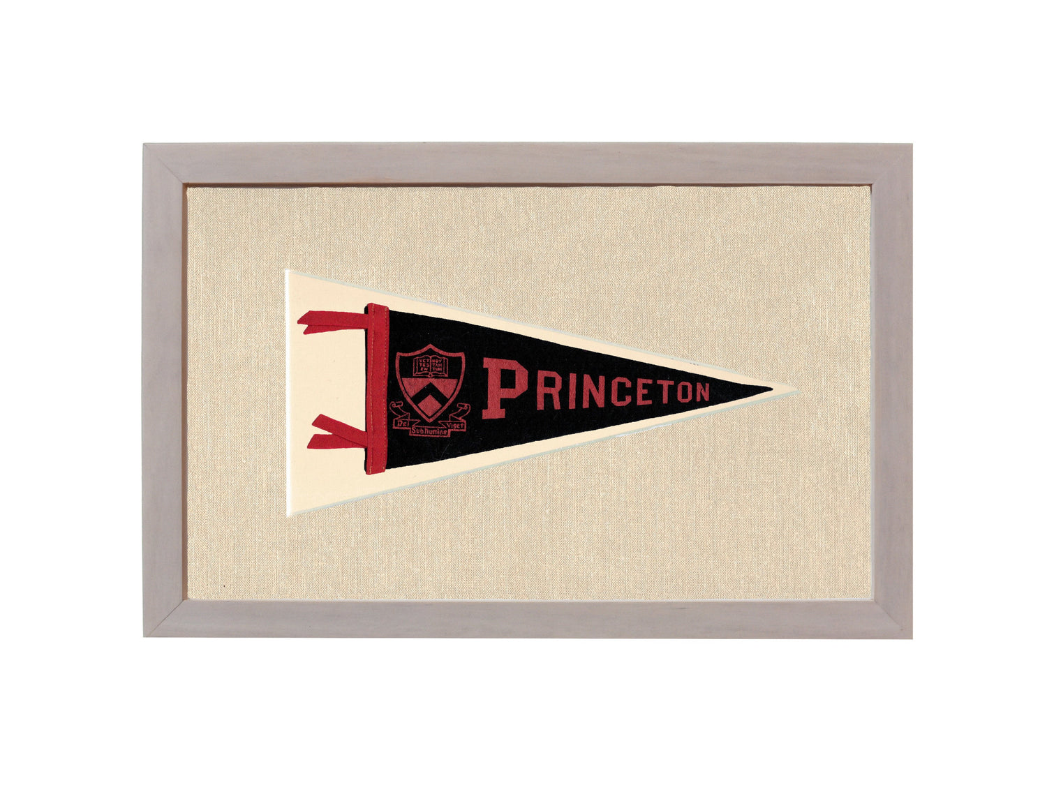 Vintage Princeton Pennant