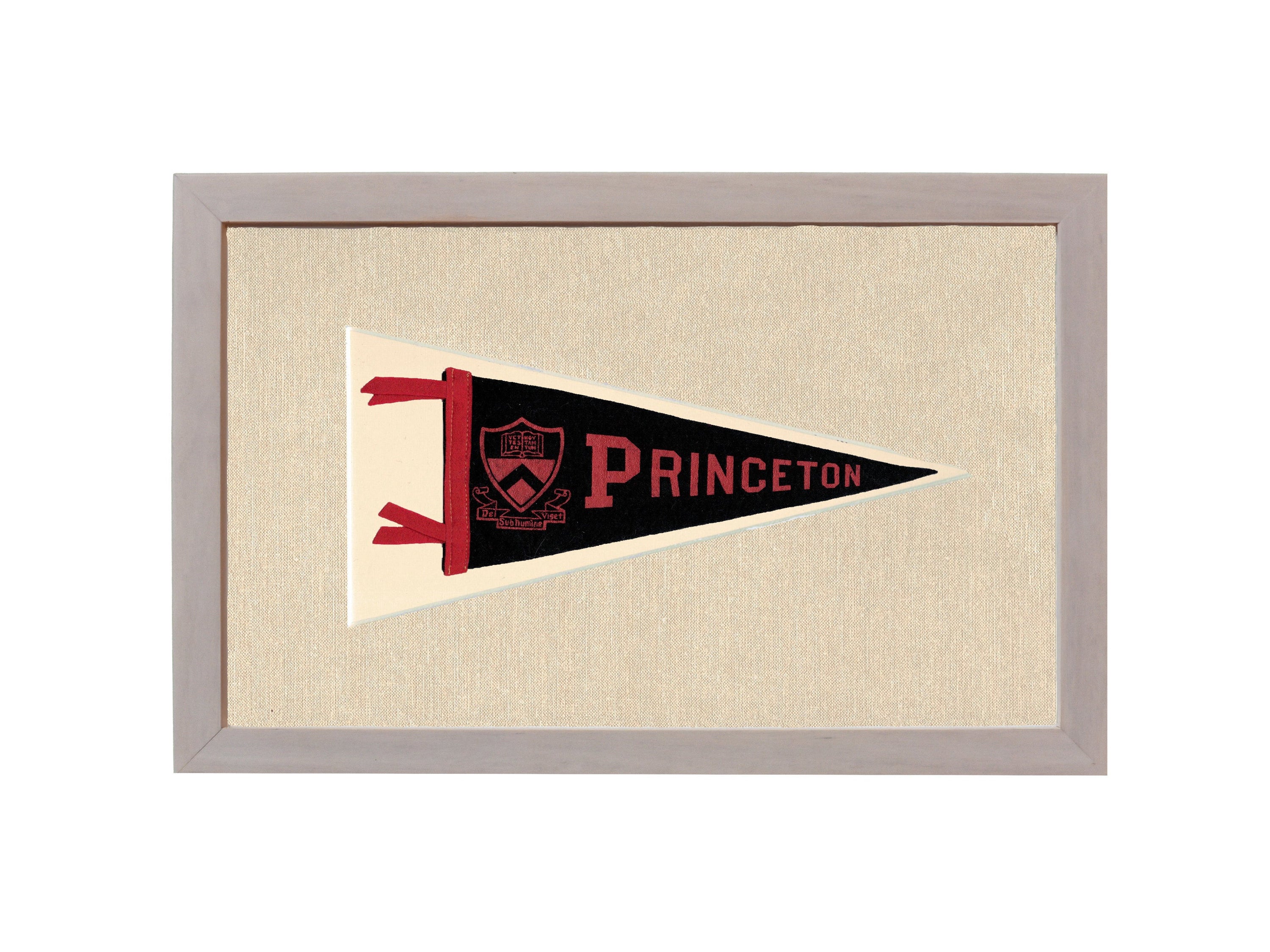 Vintage Princeton Pennant