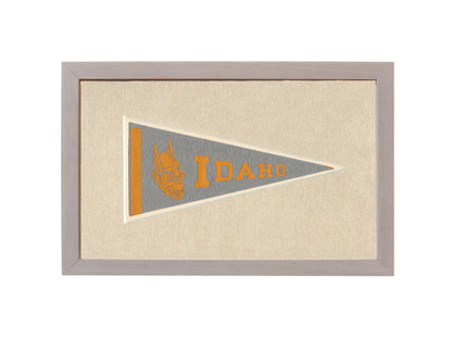 Americana Memories Vintage Pennants and Memorabilia Vintage University of Idaho Pennant