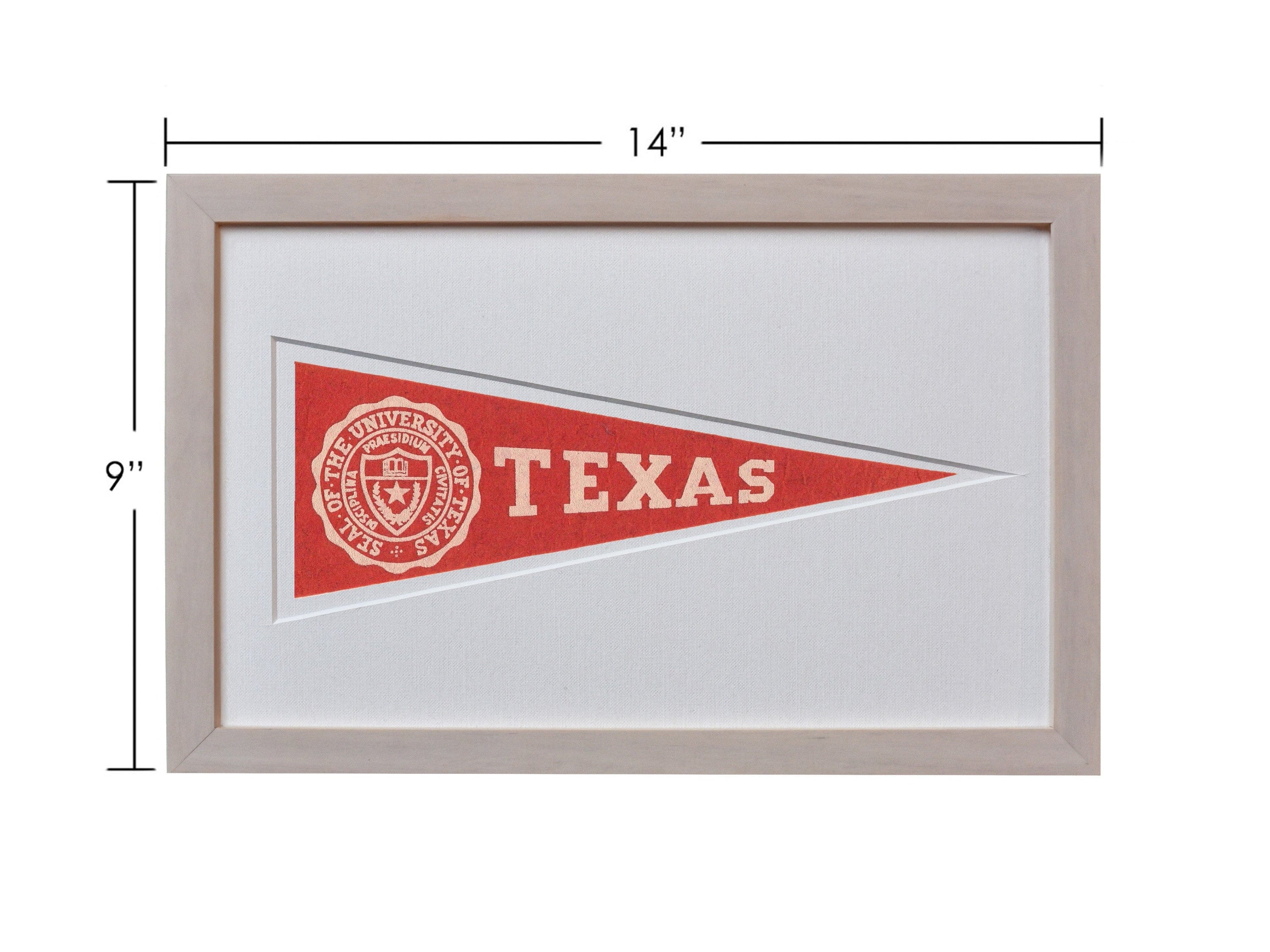 Americana Memories Vintage University of Texas Hormel Pennant