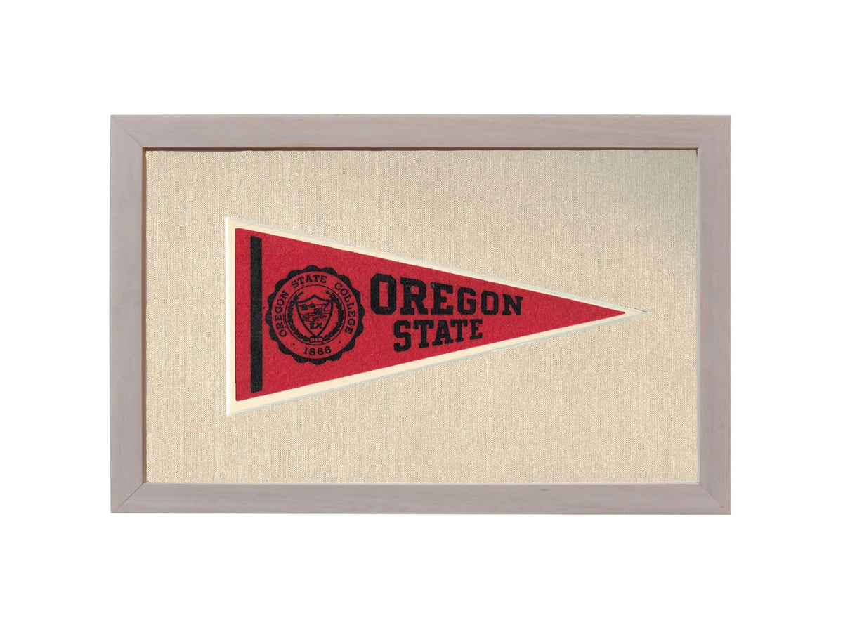 Vintage Michigan State Pennant