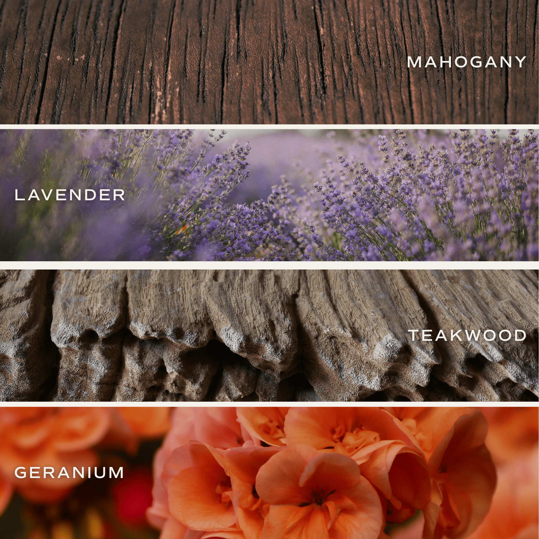 Driftwood and Mahogany Soy Candle - White Jar - 11 oz