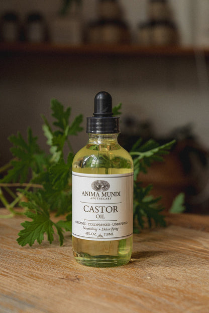 Anima Mundi Oils CASTOR OIL | Coldpressed, Unrefined - 4 fl oz