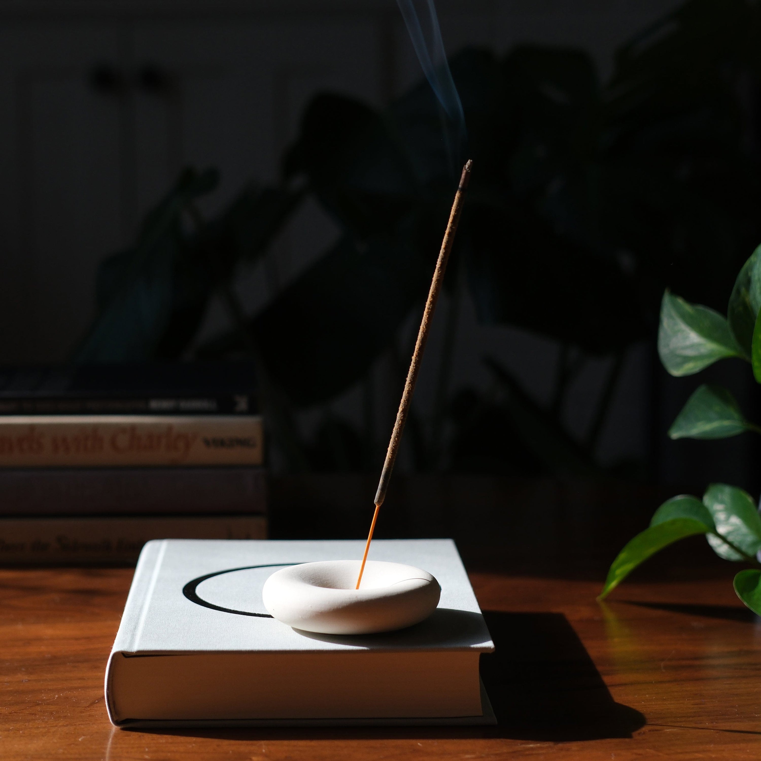 Misewell Home accessories Bone Eve Incense