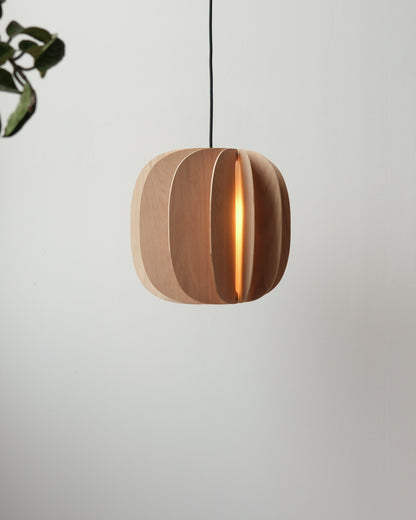 Fin II Pendant