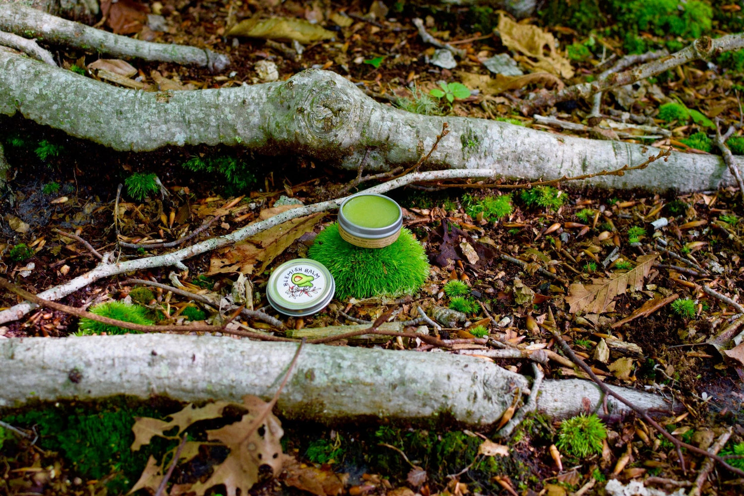 plant makeup Blemish Balm
