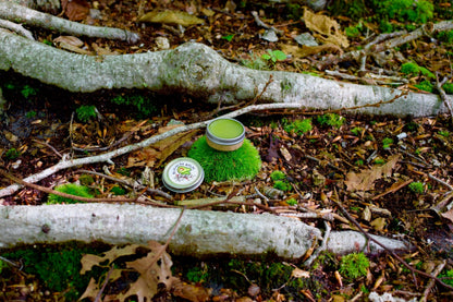 plant makeup Blemish Balm
