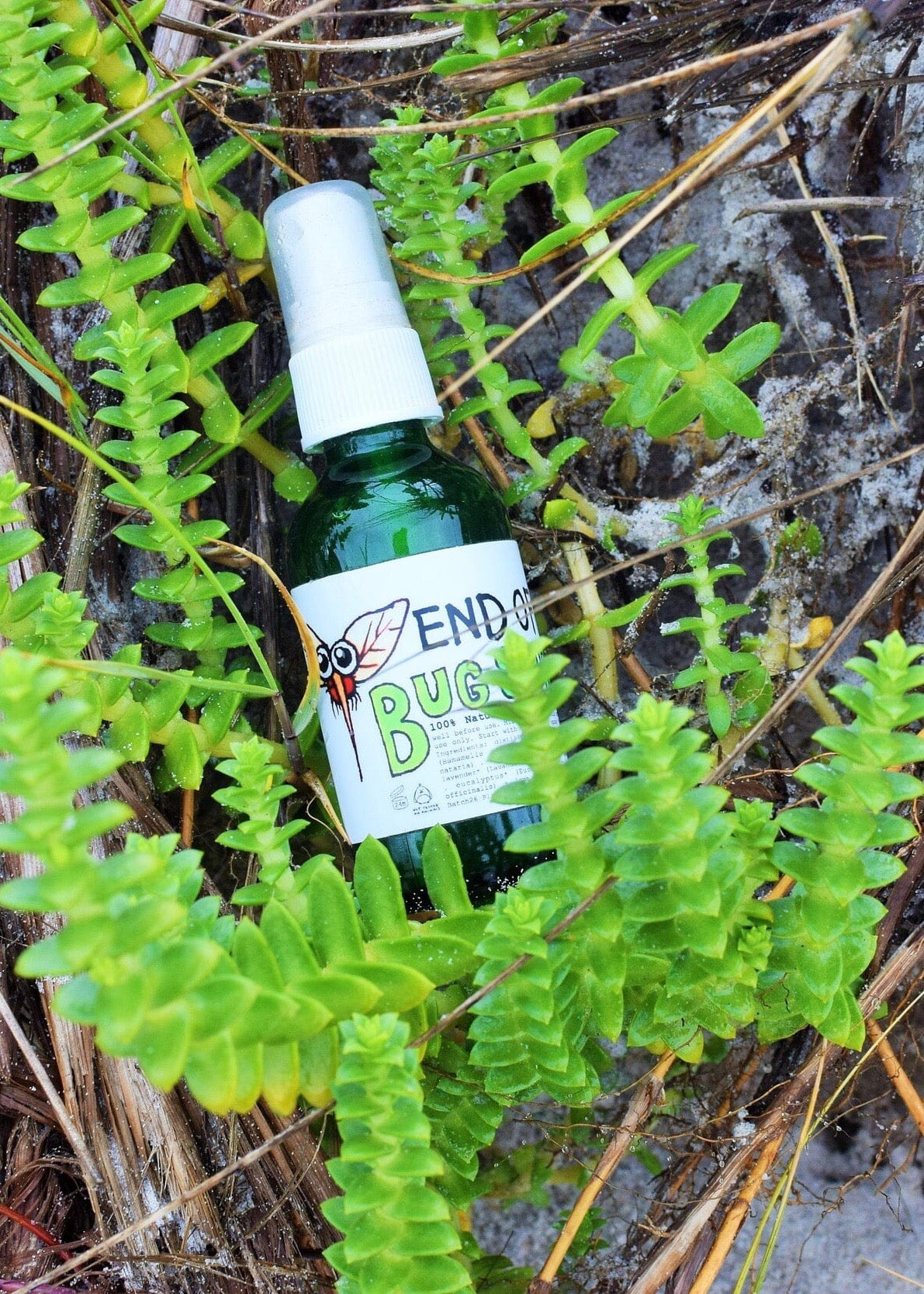 plant makeup Herbal Bug Spray