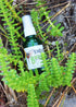 plant makeup Herbal Bug Spray