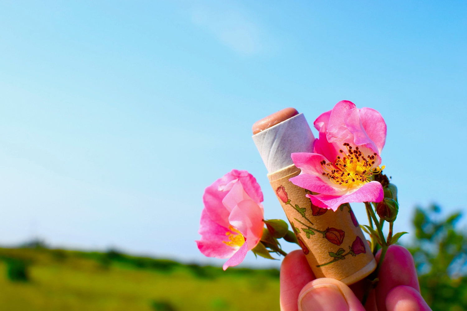 Pink Rose Lip Stick - My American Goods