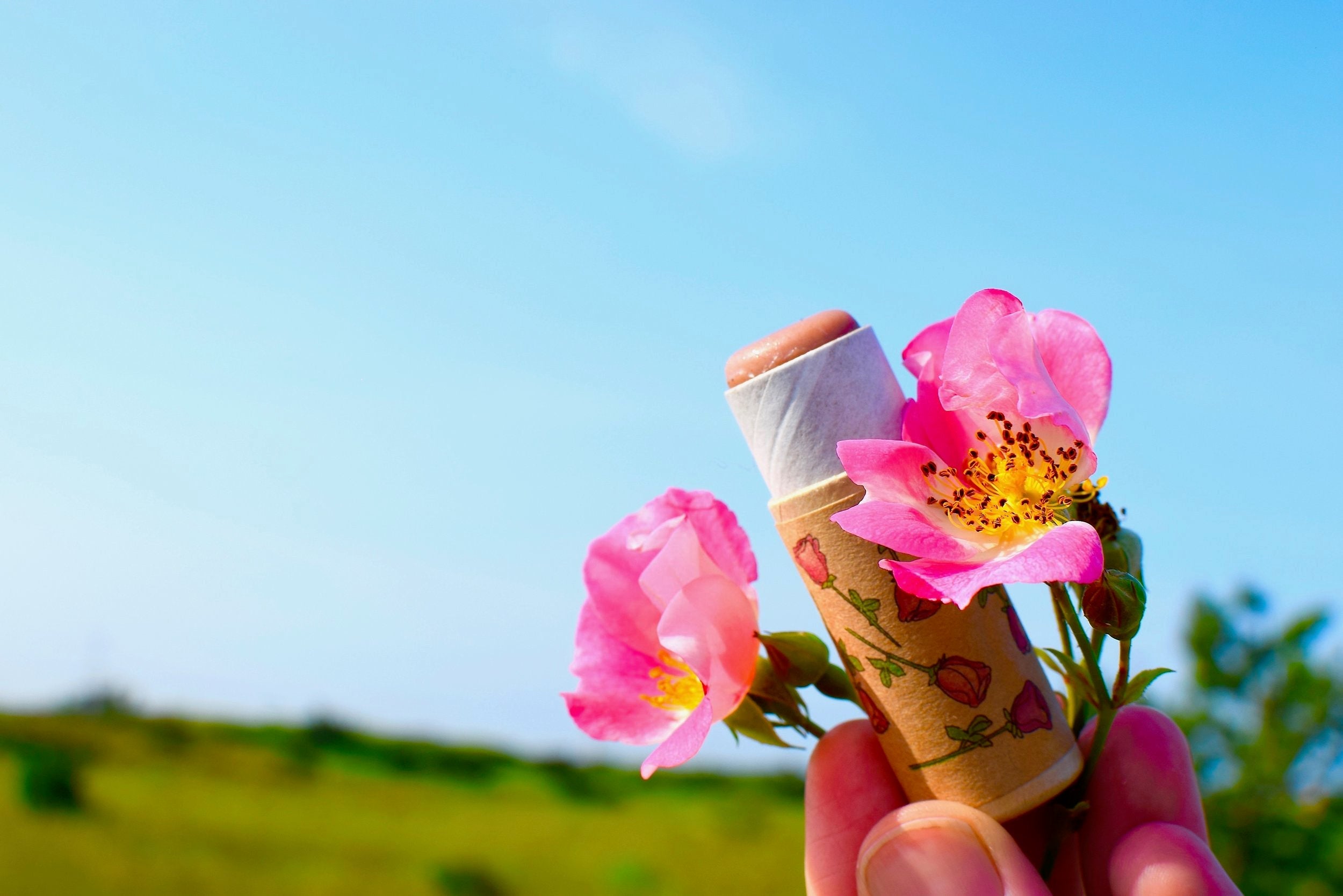 Pink Rose Lip Stick - My American Goods