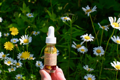 plant makeup Wild Flower Hair Serum