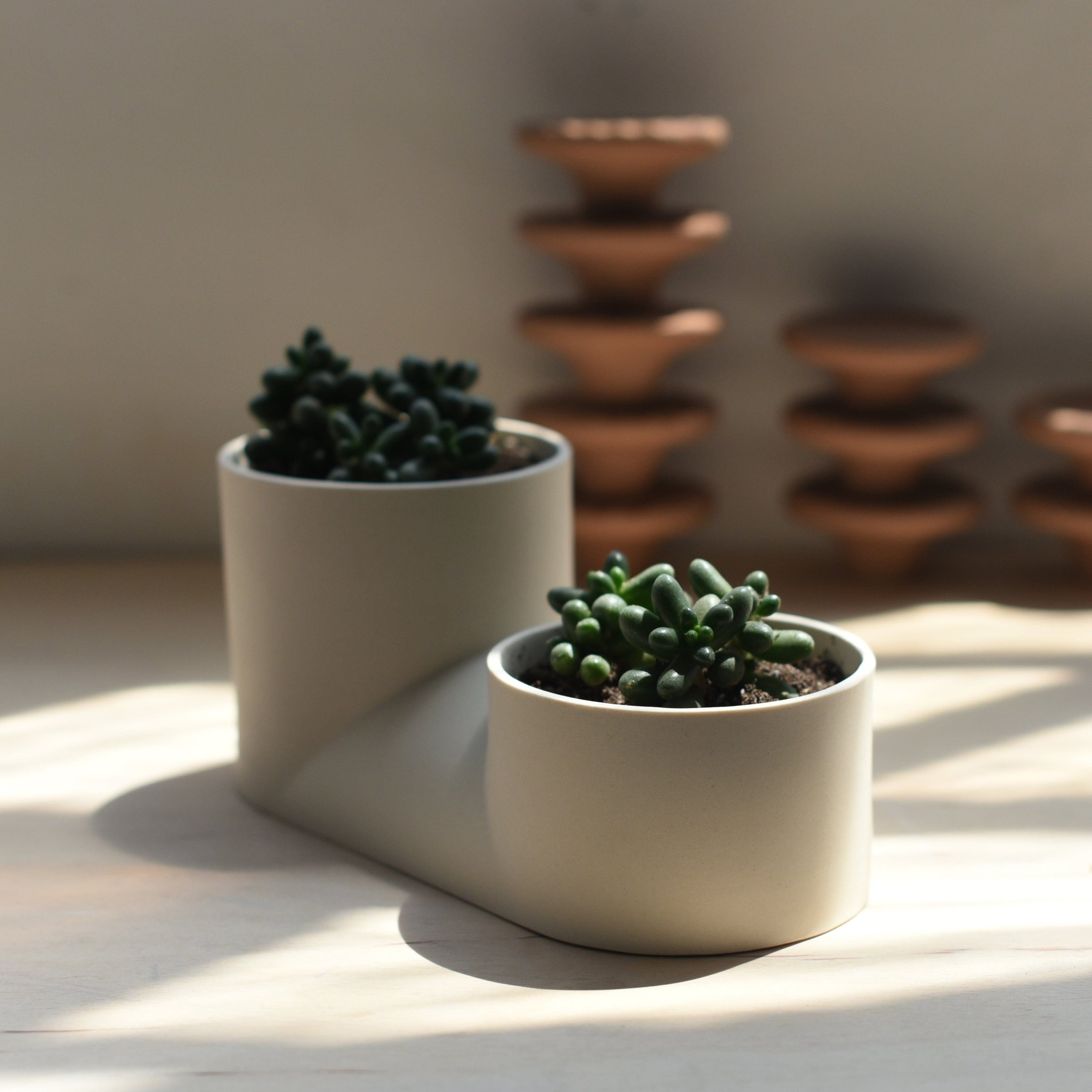 Misewell Pots &amp; Planters Dune Double Planter