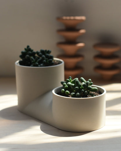 Double Planter