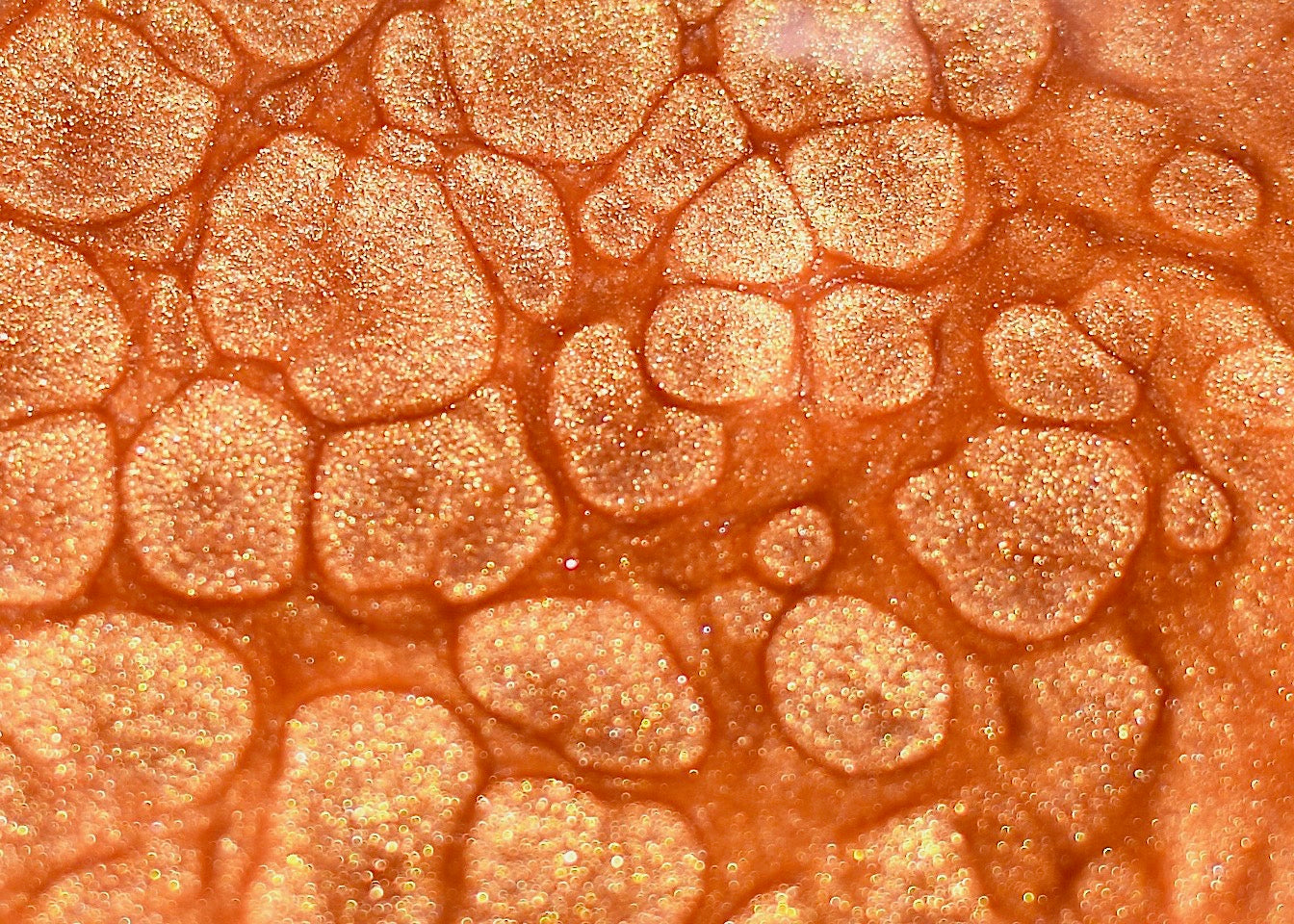 Rose Dust Gloss - My American Goods