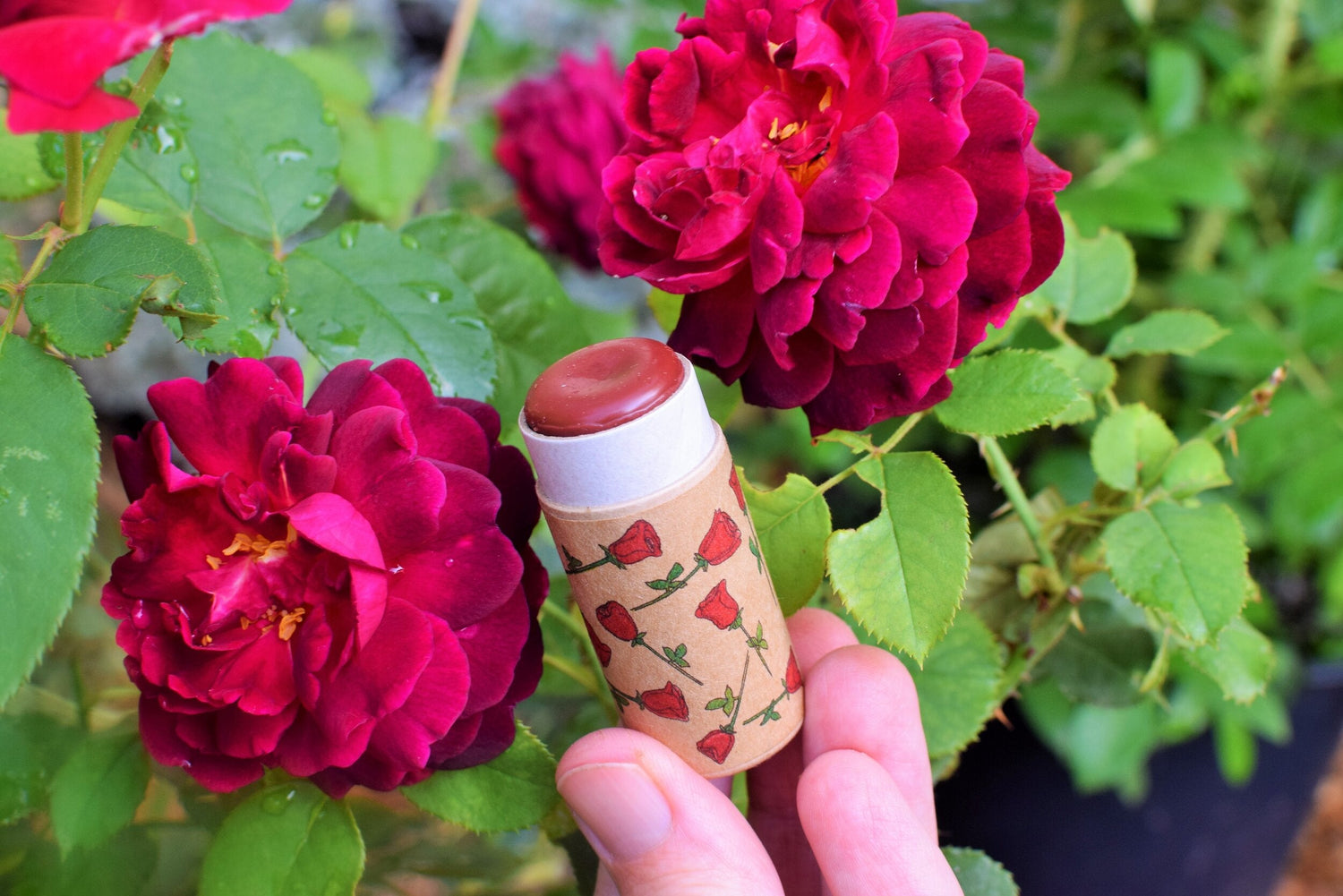 Red Rose Lip Stick - My American Goods