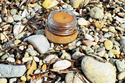 Cinnamon Lip Plumper - My American Goods