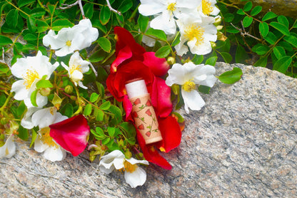 Red Rose Lip Stick - My American Goods