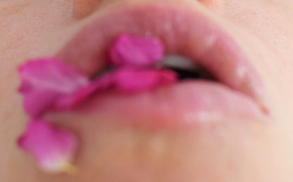 Dragon Fruit Lip Gloss - My American Goods