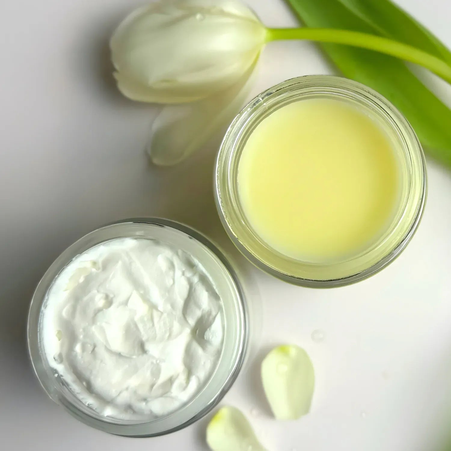 Clara &amp; Fritz Tallow Shop Skincare Bundle Day &amp; Night Face Moisturizer Duo