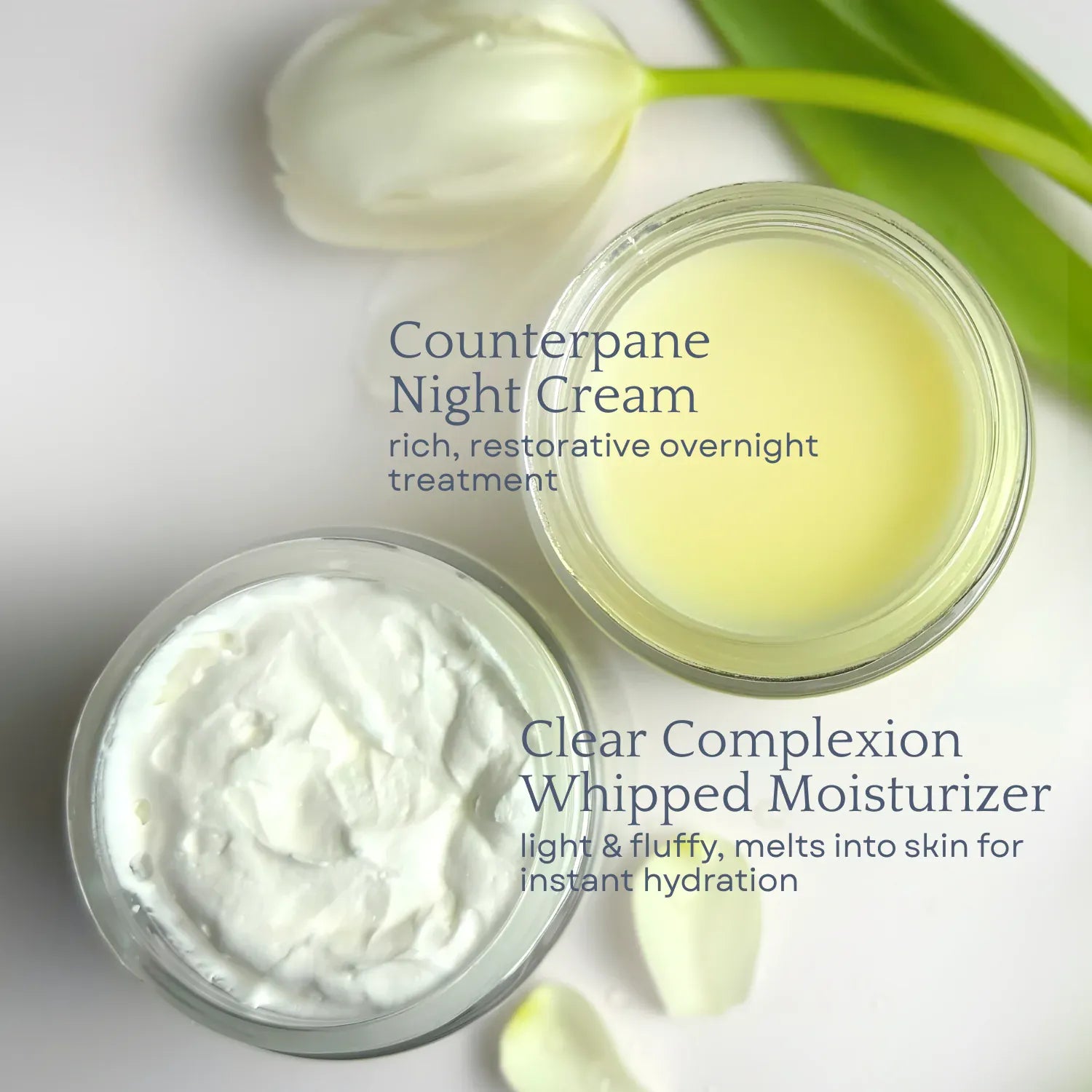 Clara &amp; Fritz Tallow Shop Skincare Bundle Day &amp; Night Face Moisturizer Duo