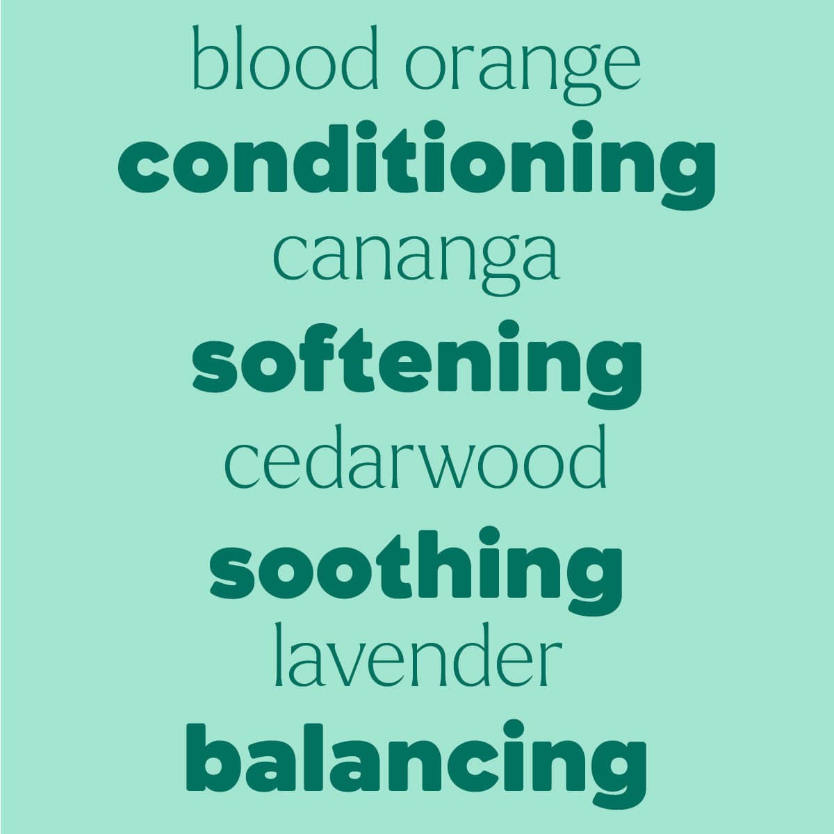 Detangler Frizz-Taming Spray