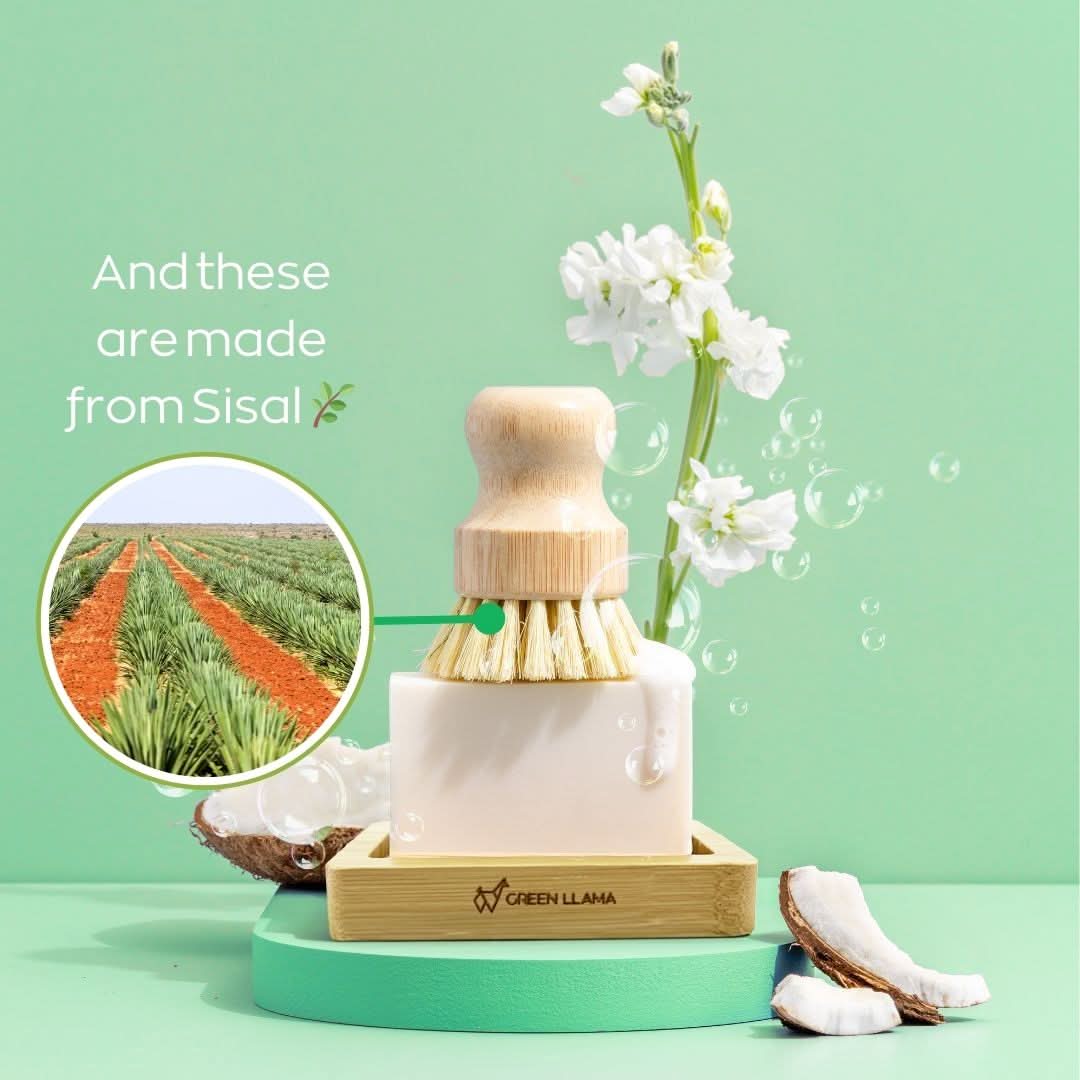 Green Llama Starter Kit Soap Eco-Friendly Dish Washing Starter Pack - Sparkling Clean &amp; Green