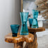 OZAIZ Teal Decanter Drinkware + Tumbler Set