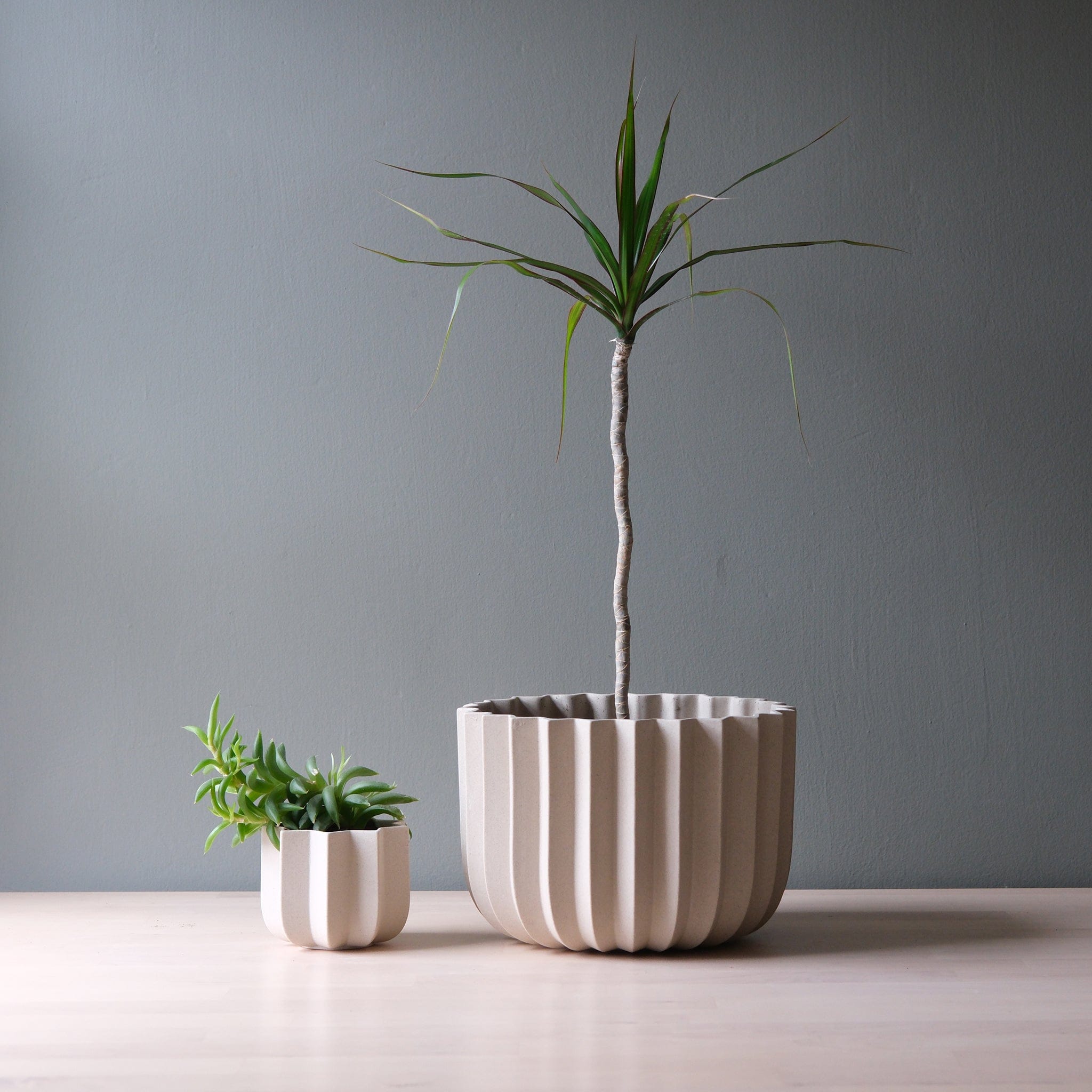 Misewell Pots &amp; Planters Wrap Planter - 4 sizes