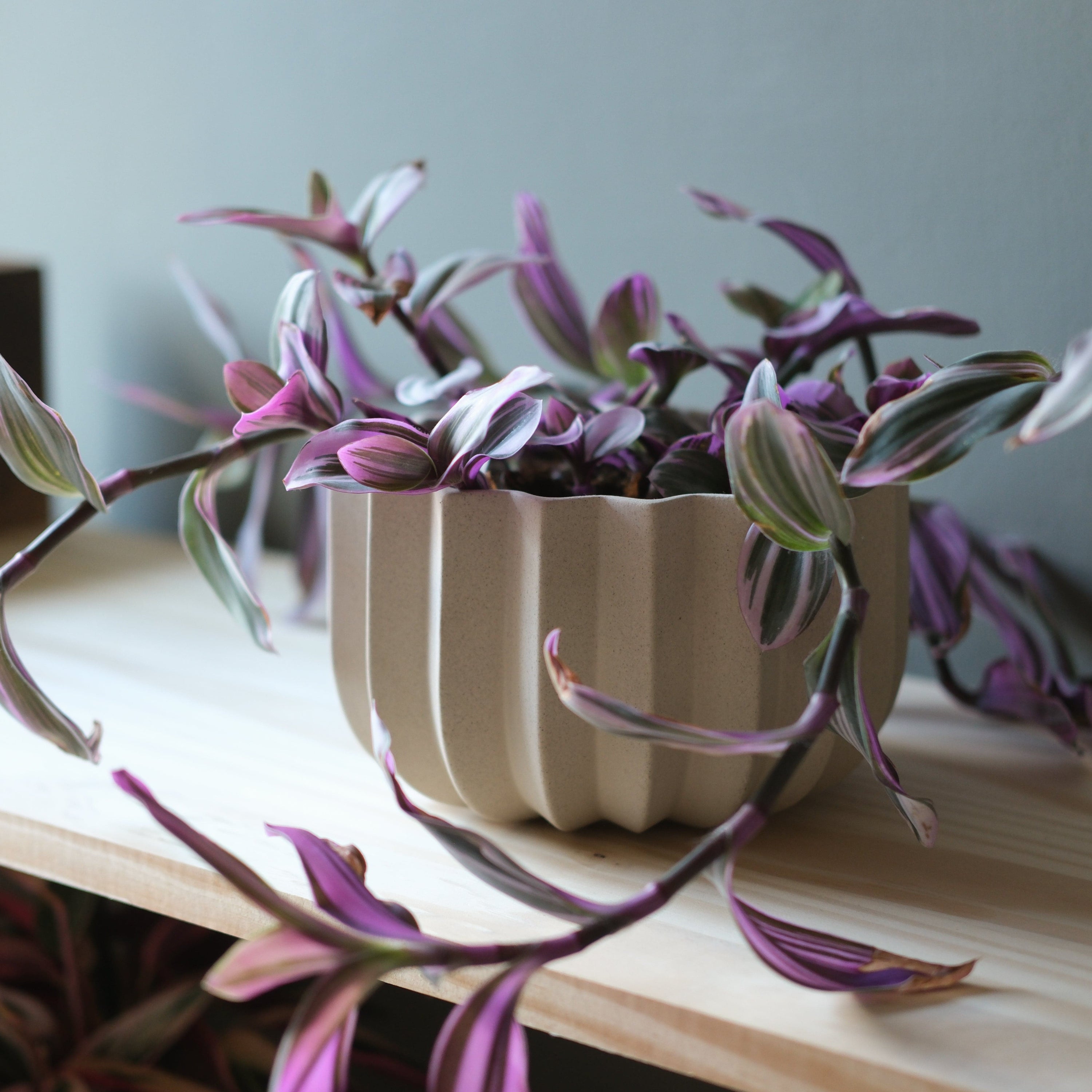 Misewell Pots &amp; Planters Wrap Planter - 4 sizes