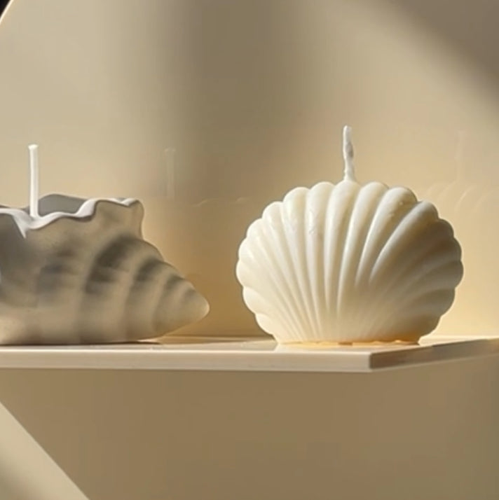 Seashell Soy Candle
