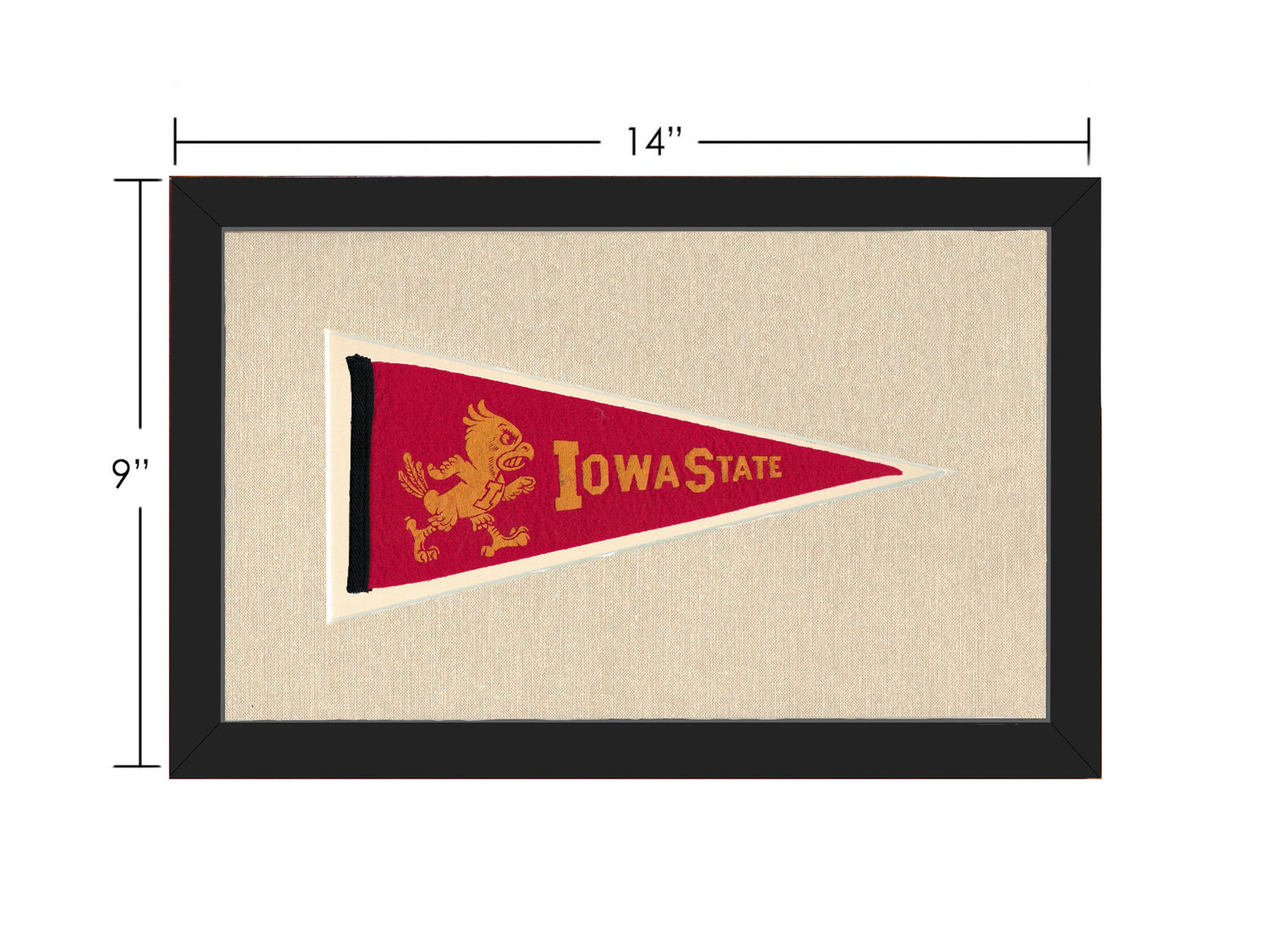 Vintage Iowa State Pennant