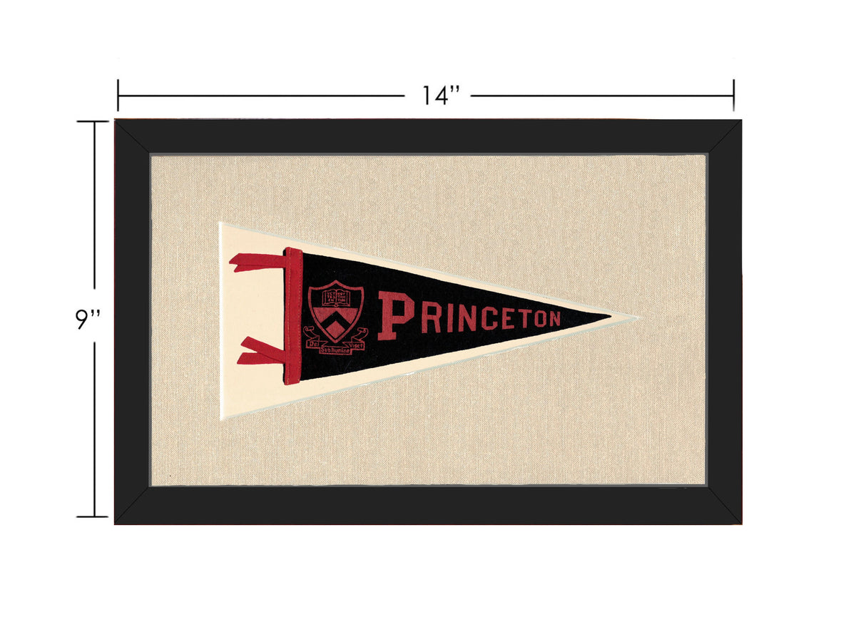 Vintage Princeton Pennant